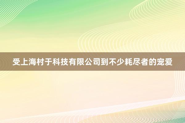受上海村于科技有限公司到不少耗尽者的宠爱