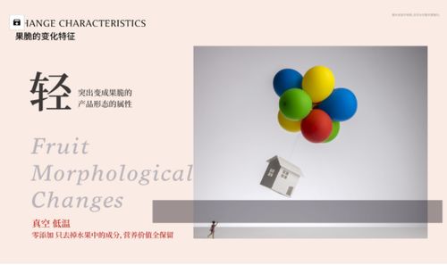 平面设计学习路径探析 自学与报班的抉择