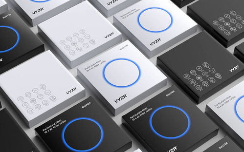 科技与美学的交汇 加拿大科技公司VYZR的品牌形象设计解析